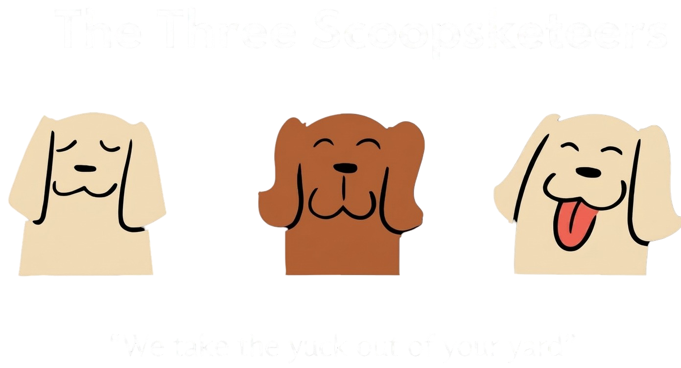 The Three Scoopketeers